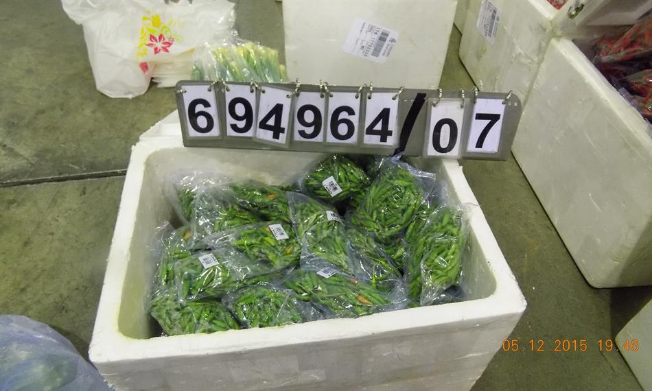 2015-12-8-953foto 5.JPG